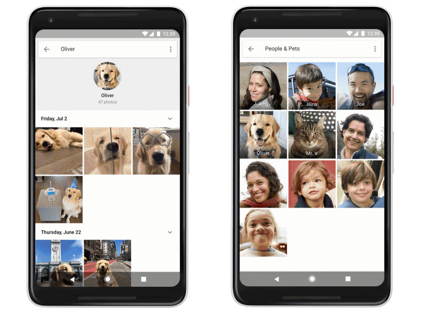 Google Photos теперь распознает домашних питомцев