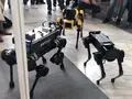 Роботы рисуются друг перед другом