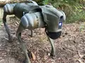 post_big/robo.jpg