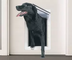 PERFECT PET The All-Weather Energy Efficient ...