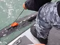 post_big/ukraine-navy-divers_5877394.jpg
