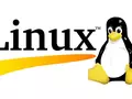 post_big2/linux_eaVxUxf.webp
