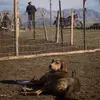 жінка