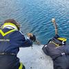 Samsung Galaxy S23 Ultra in ice-cold water