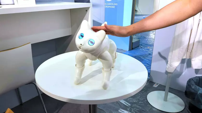 На IFA 2022 показали няшного робота-кота MarsCat, который чувствует прикосновения, реагирует на голоса и играет с игрушками