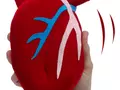 files/u2/2009/10/plush_beating_heart.gif
