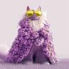 Уникальный дизайн котов в Catly