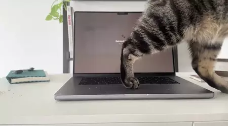 Cats Lock is a $2.99 Mac app that stops your cat from trashing your keyboard