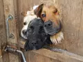 post_big/vkontakte_vhod.gif