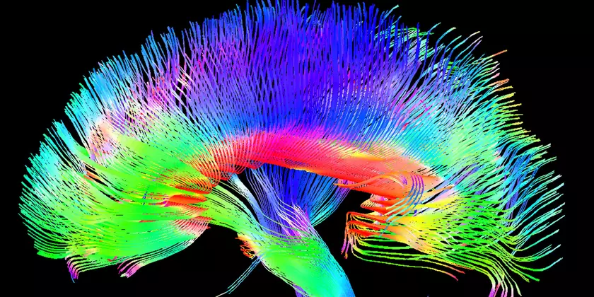Программа Brain Composer помогает писать музыку силой мысли