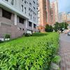 Обзор Samsung Galaxy M31 и Galaxy M21: ложка корейского дёгтя в бочку китайского мёда-474