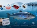 post_big2/aquanab-nanoantibodies-tai-01.webp