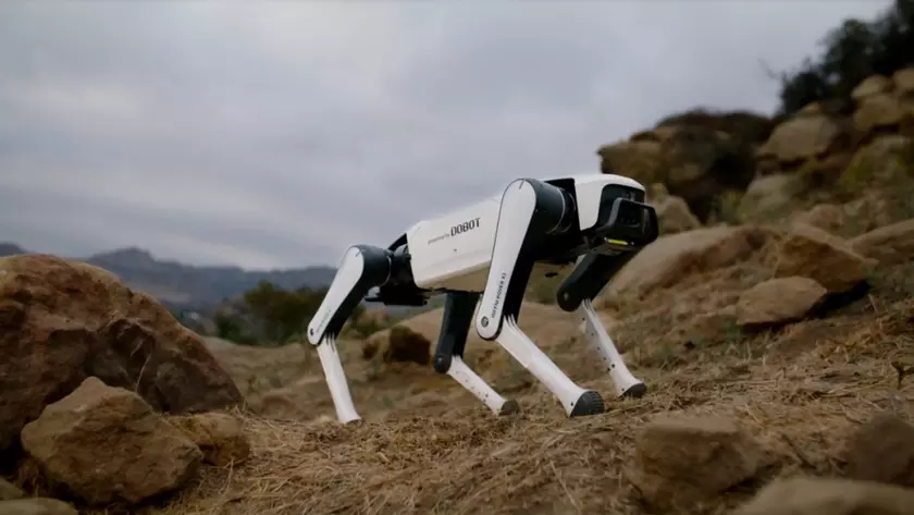 Робопес Rover X1: новый уровень технологий в вашем доме