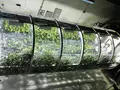 post_big/nasa-greenhouse-will-feed-people-on-mars.jpg
