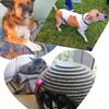 PicsArt_11-04-08.53.13.jpg