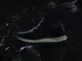 post_big/adidas-released-first-mass-market-3d-printed-shoes.jpg