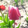 IMG_20170501_155844587.jpg