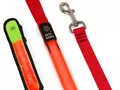 files/u2/2010/03/led_dog_leash_and_collar_cover.gif
