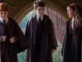 post_big2/harry-pott.webp