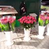 IMG_20171013_141202.jpg