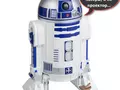 files/u2219/r2d21.jpg