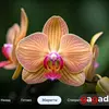Для тих, хто знає чого хоче: огляд QLED-телевізора Xiaomi TV S Pro Mini LED 2026-102