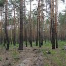 20170501_140714.jpg