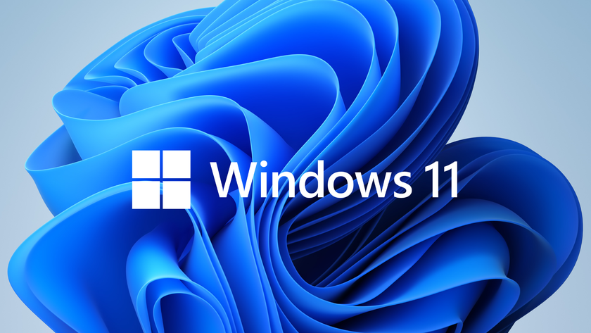 Названы основные отличия между Windows 11 Home и Windows 11 Pro