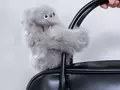 post_big/l5720250106104021.webp