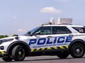 post_big/policing-lab-pug.jpg
