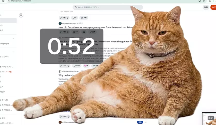 Cat Gatekeeper: Обзор и первые впечатления о новом игровом проекте