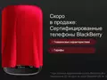 post_big/Blackberry01.JPG