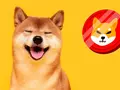 Пользователей интересует Shiba Inu – мемная криптовалюта стала популярнее, чем Bitcoin, Dogecoin и Ethereum