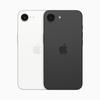 iPhone 16e rear colour (preview)