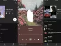 Google запустила студенческие подписки на YouTube Music и YouTube Premium в России