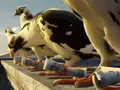 post_big/peresylka_pisem.jpg