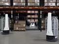 Миллиард заказов и одна розовая шапка: как роботы DHL захватывают склады