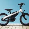 segway-kids-bike-1.jpg