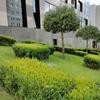Обзор realme X3 SuperZoom: бюджетный флагман с камерой-перископом-342