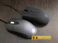 post_big/Mouse_1.jpg