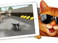 post_big/cat-sim.jpg