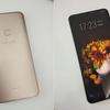 vivo3.JPG
