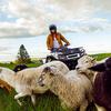 Advanced Outlander Electric technology