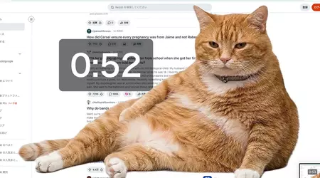 Цей кіт потрібен кожному! Розширення Cat Gatekeeper для Chrome не дасть засиджуватися в соцмережах