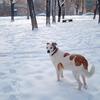 IMG_20190127_102034.jpg