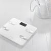 meizu-smart-body-fat-scale-5.jpg