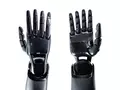 post_big/hands-photo-update.webp
