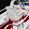 The Pope's electric car