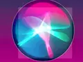 post_big2/oilkn.webp