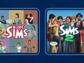post_big/swf.jpg